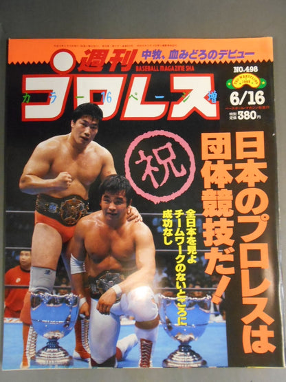 Weekly Pro Wrestling 498