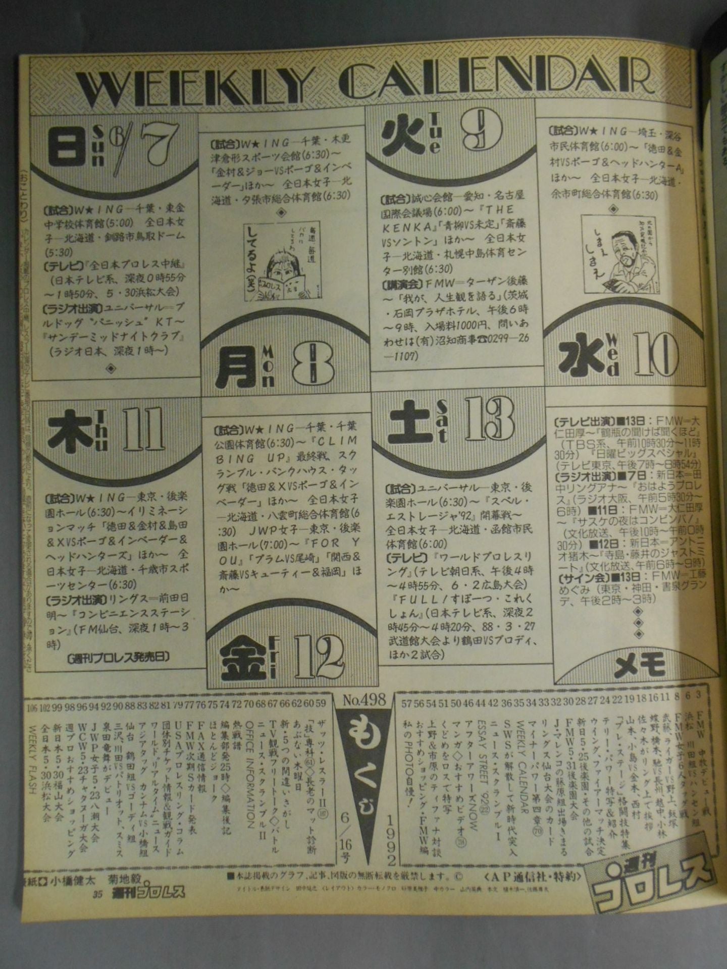 Weekly Pro Wrestling 498