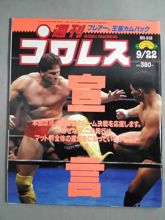 週刊プロレス513