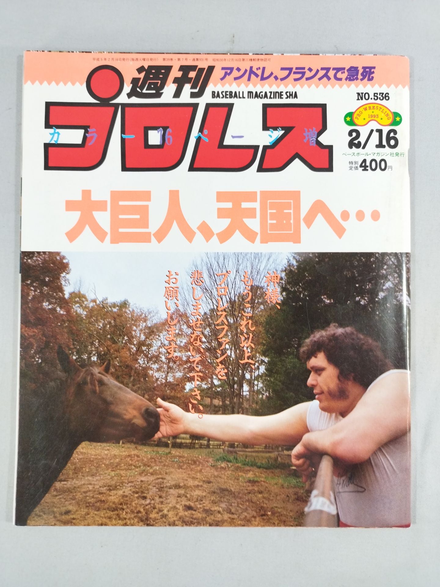 Weekly Pro Wrestling  536