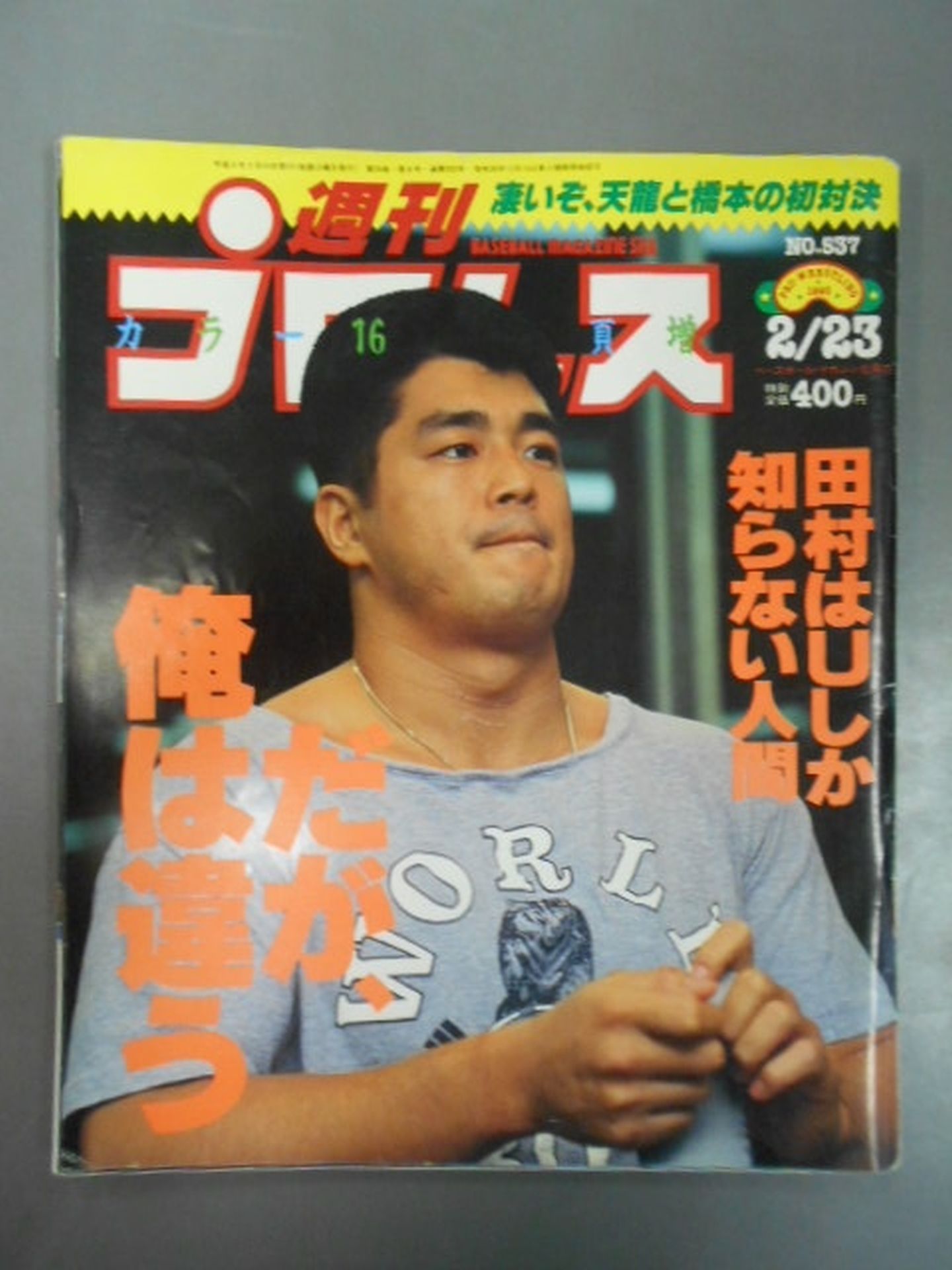 Weekly Pro Wrestling 537