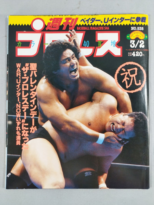 Weekly Pro Wrestling 538