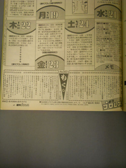 Weekly Pro Wrestling 563