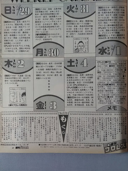 Weekly Pro Wrestling  570