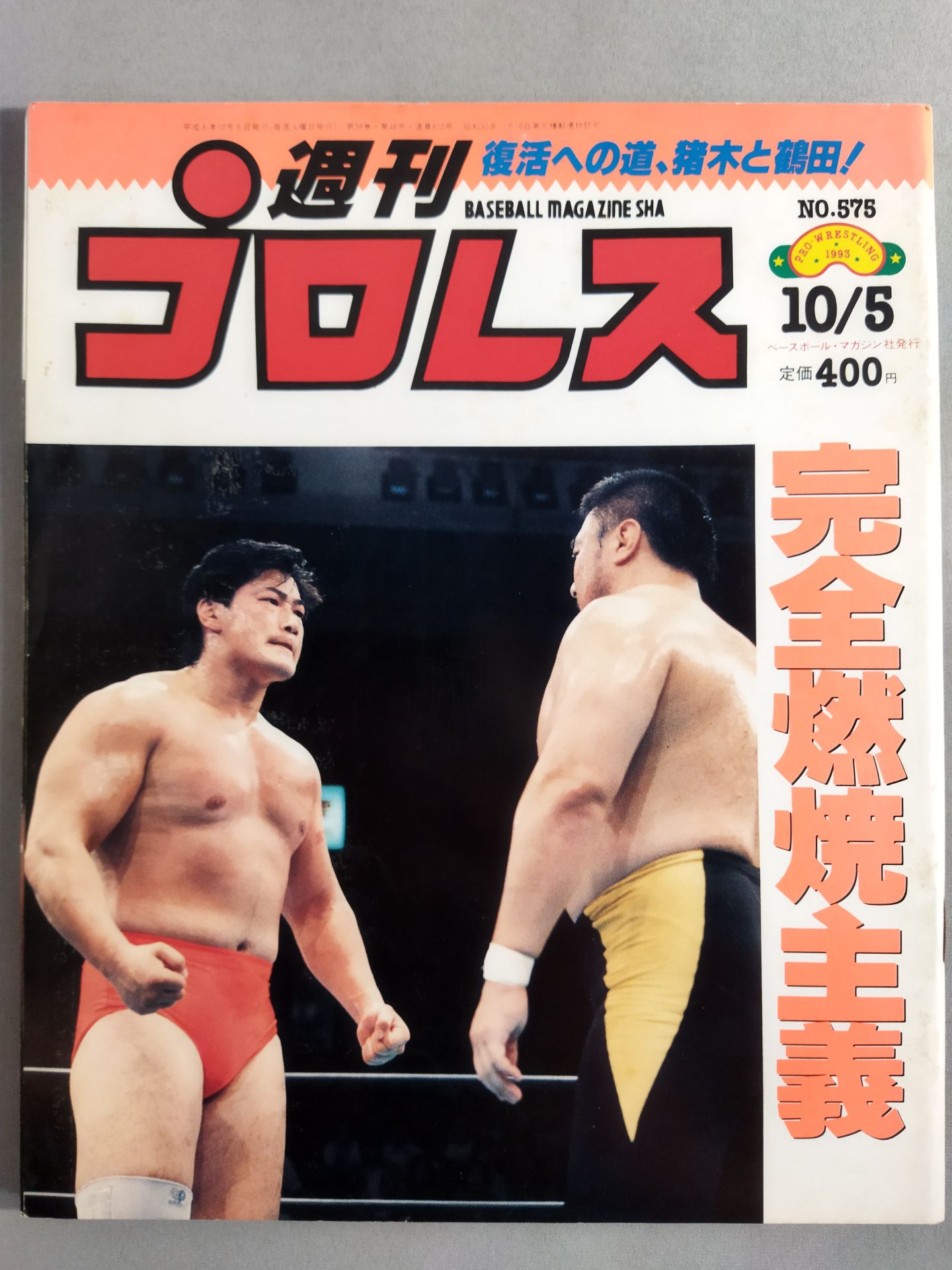 Weekly Pro Wrestling  575