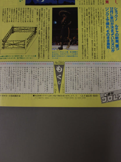 Weekly Pro Wrestling 584