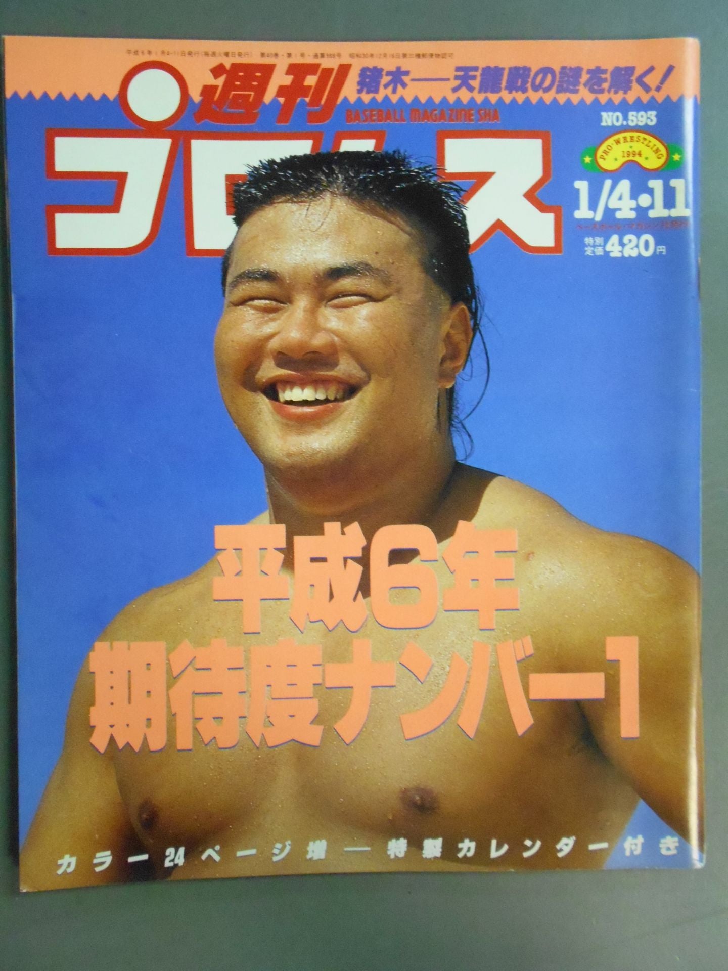 週刊プロレス593
