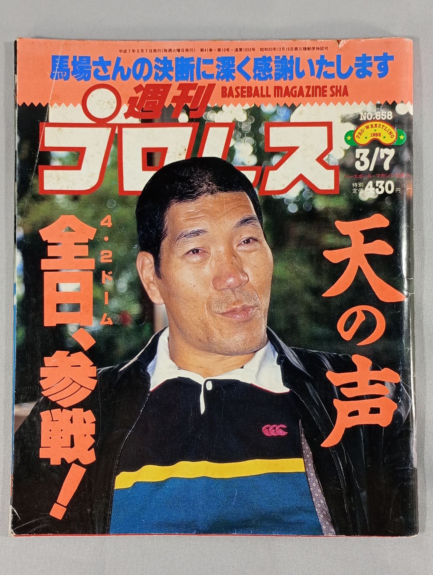 Weekly Pro Wrestling 658