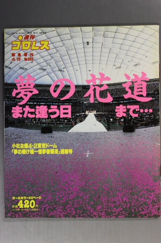 Weekly Pro Wrestling 665