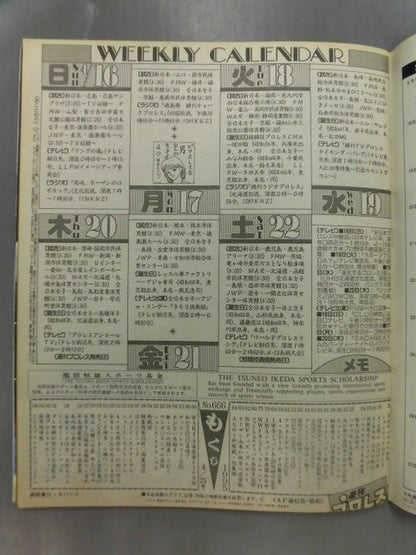Weekly Pro Wrestling 666