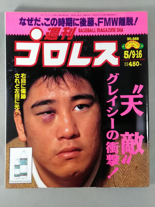 Weekly Pro Wrestling 668