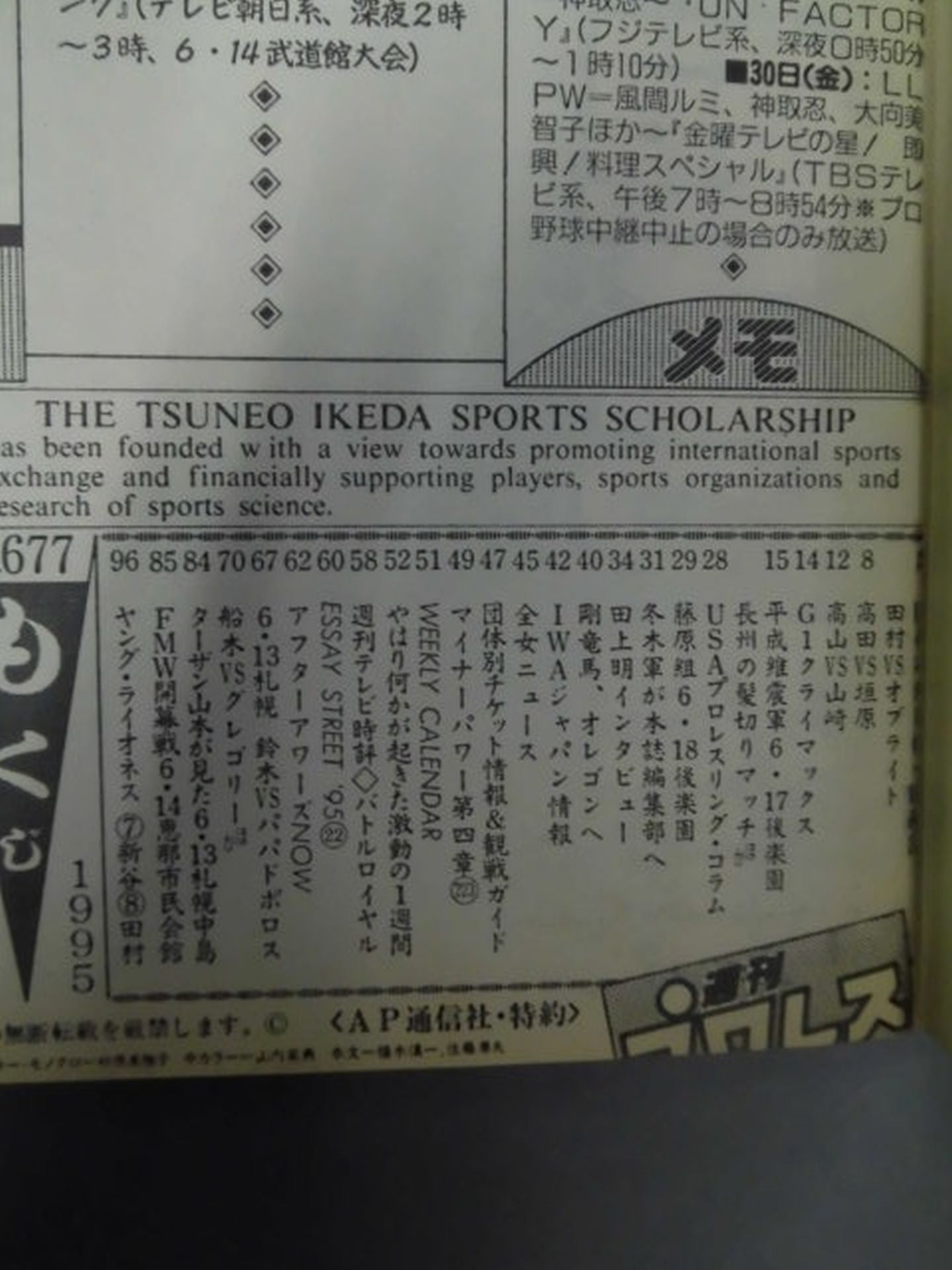 Weekly Pro Wrestling 677