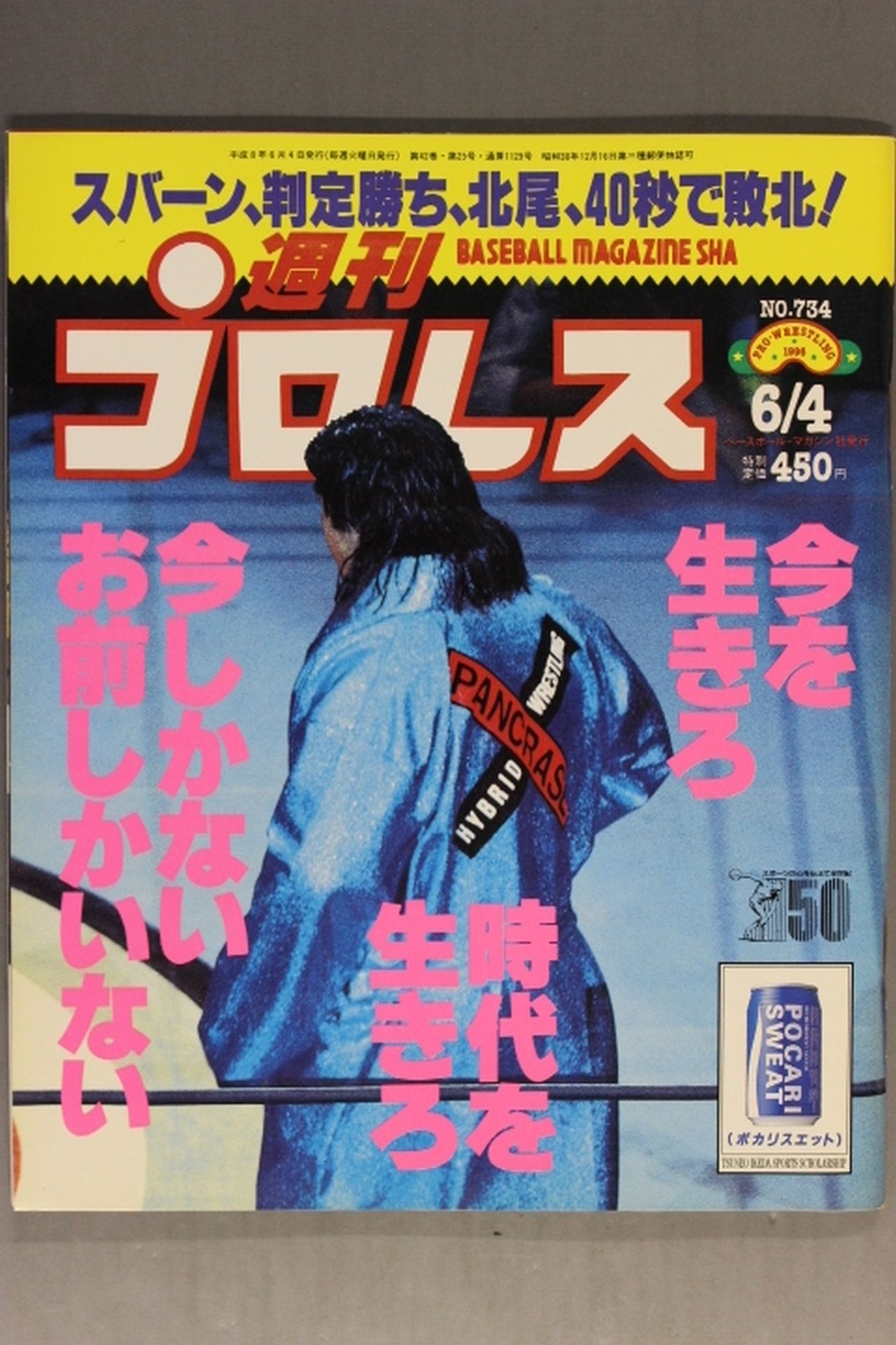 Weekly Pro Wrestling 734