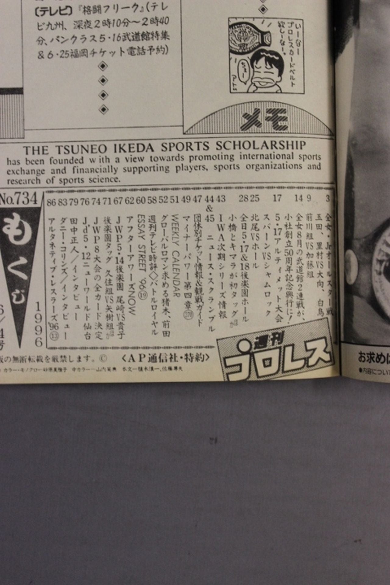 Weekly Pro Wrestling 734