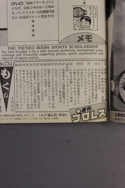 Weekly Pro Wrestling 734