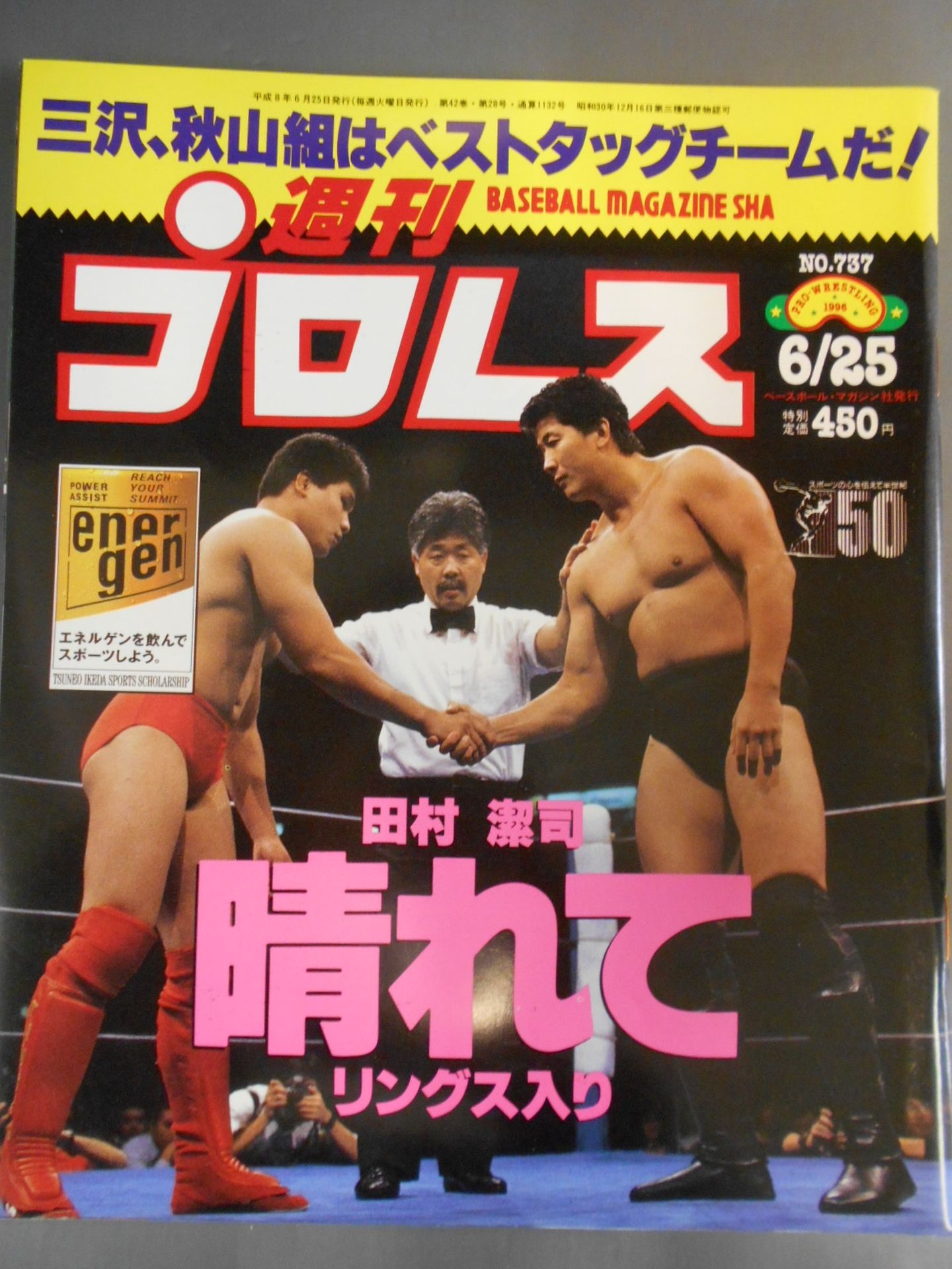 Weekly Pro Wrestling 737