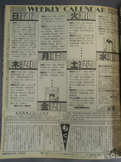 Weekly Pro Wrestling 737