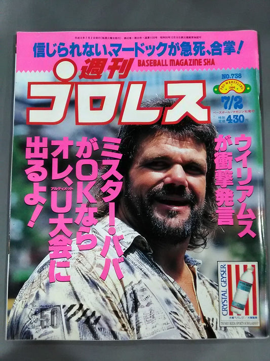 Weekly Pro Wrestling  738
