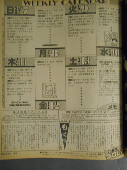 Weekly Pro Wrestling 742