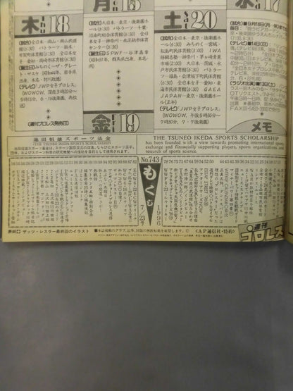 Weekly Pro Wrestling 743