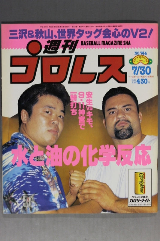 Weekly Pro Wrestling 744
