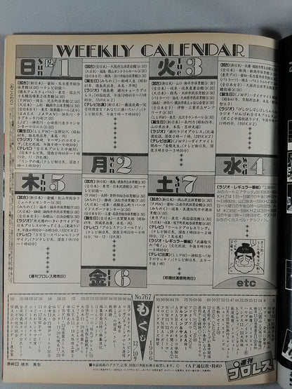 Weekly Pro Wrestling  767