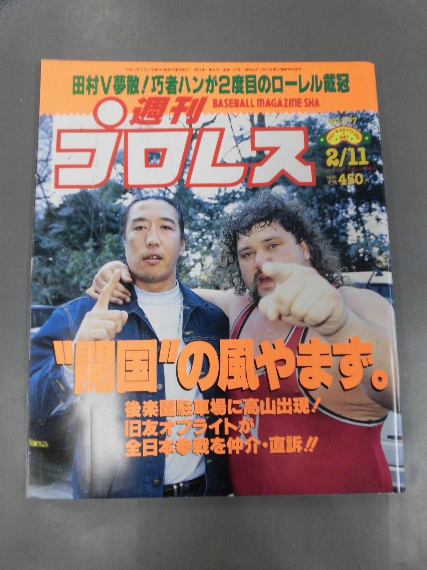 Weekly Pro Wrestling 777