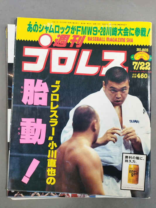 週刊プロレス803