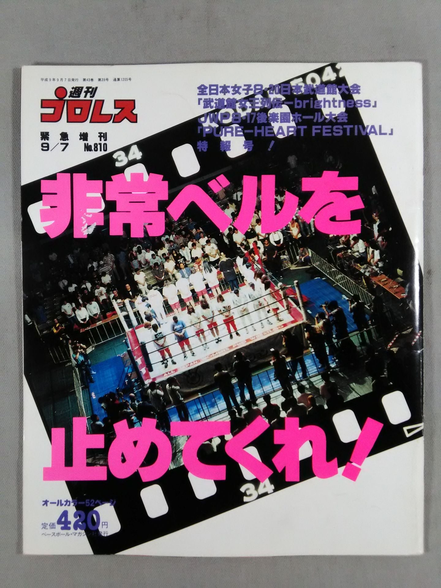 Weekly Pro Wrestling 810