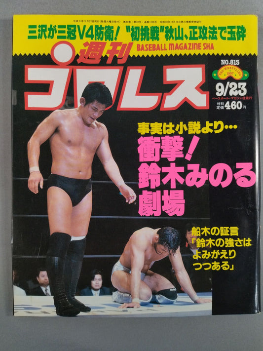 Weekly Pro Wrestling 813