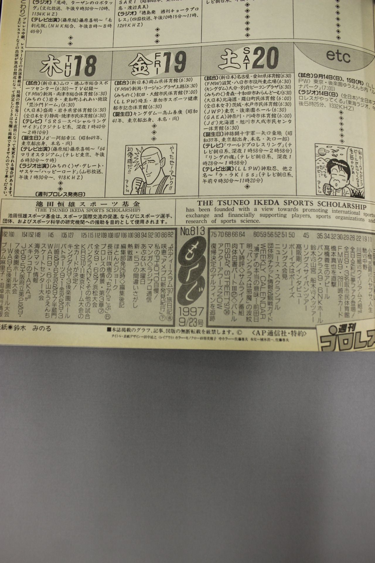 プロレスファン　1～35＋創刊準備号 ☆サスケvsデルフィン 東北Jr戦☆ みちのくプロレス オフィシャル