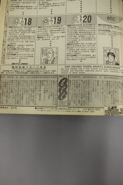 Weekly Pro Wrestling 813