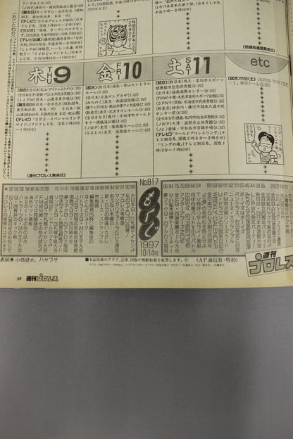 週刊プロレス817