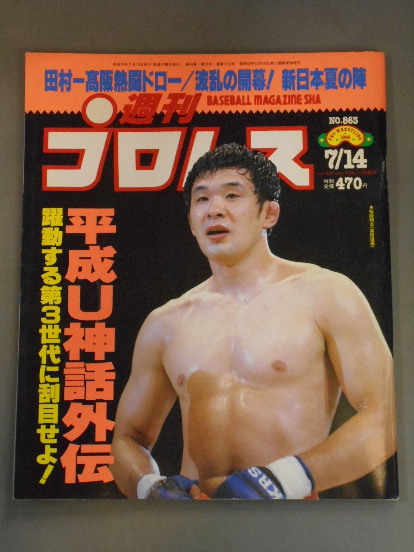 Weekly Pro Wrestling 863
