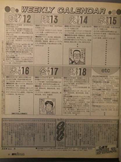 Weekly Pro Wrestling 864