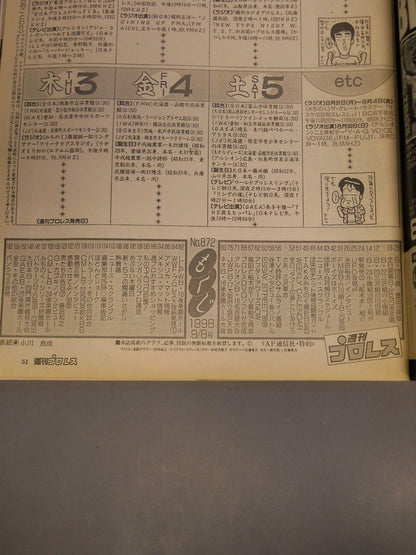 Weekly Pro Wrestling  872
