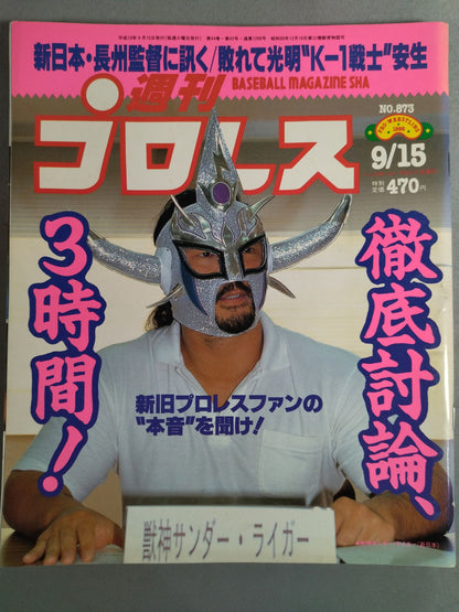 Weekly Pro Wrestling 873
