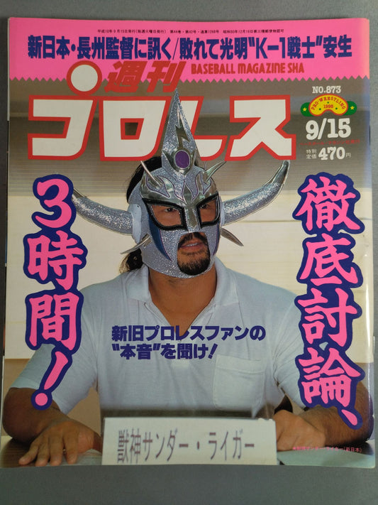 Weekly Pro Wrestling 873
