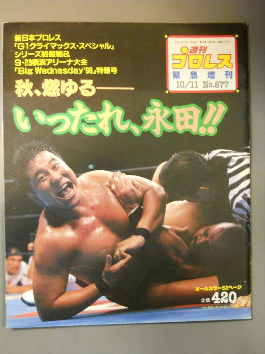 Weekly Pro Wrestling 877