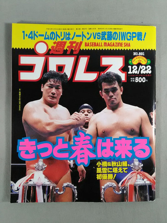 Weekly Pro Wrestling 891