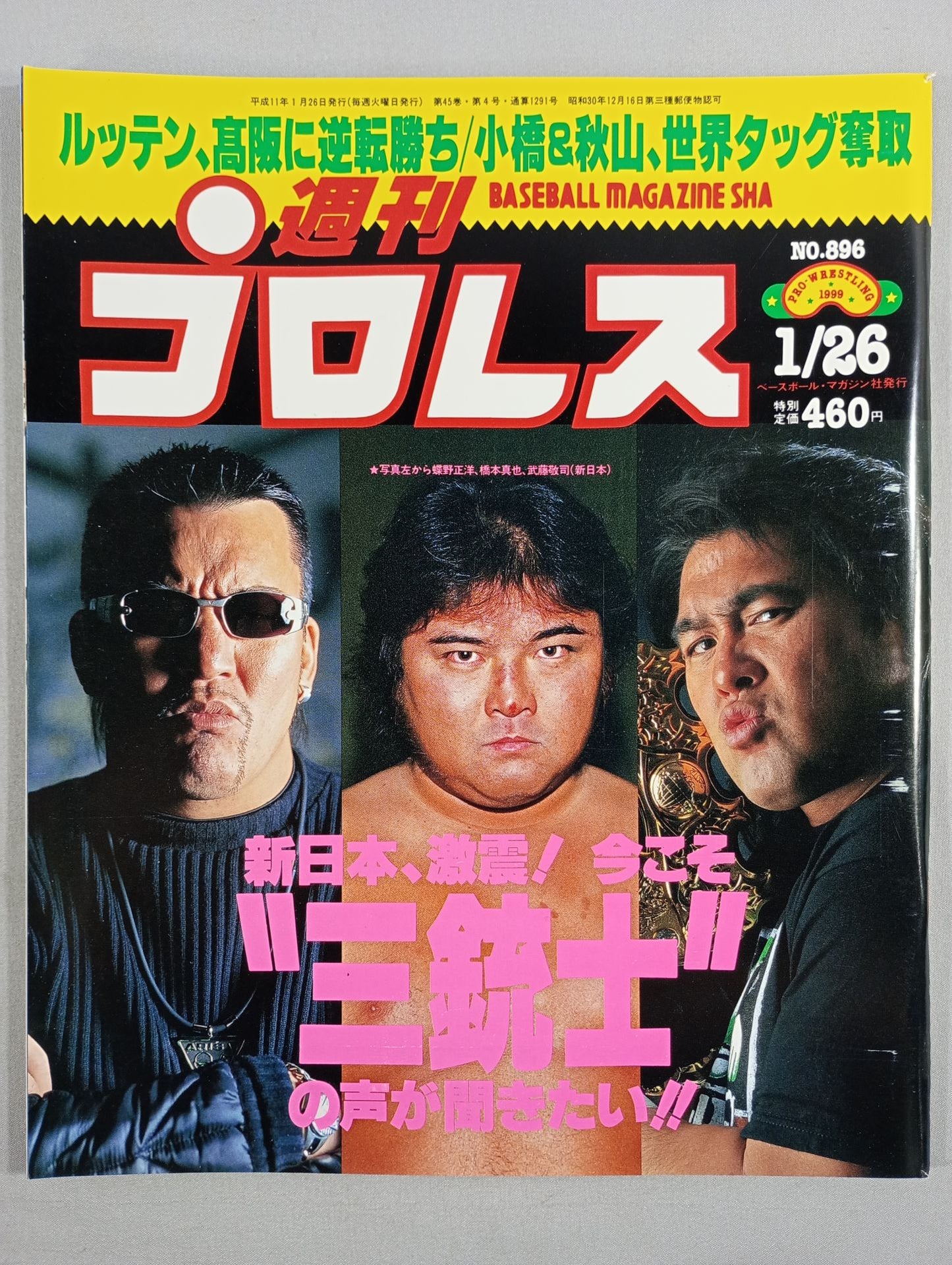 Weekly Pro Wrestling 896