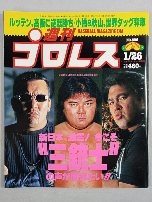 Weekly Pro Wrestling 896