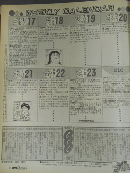 Weekly Pro Wrestling 896