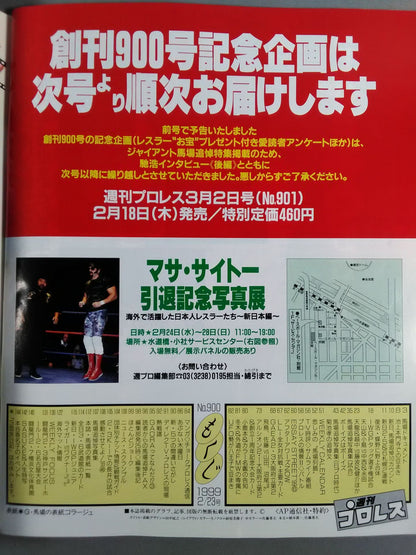 Weekly Pro Wrestling 900