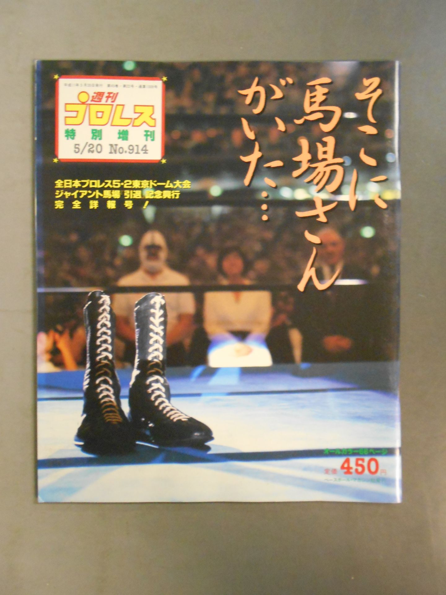 Weekly Pro Wrestling 914