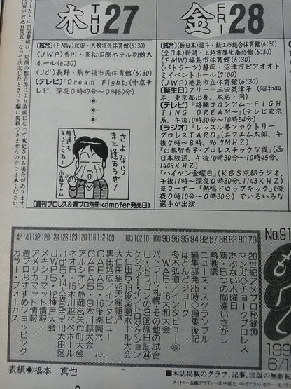週刊プロレス916