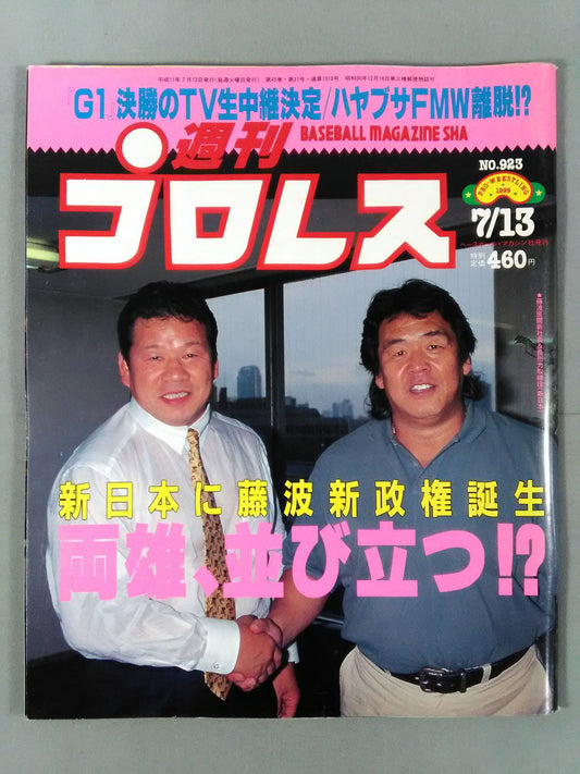 Weekly Pro Wrestling 923
