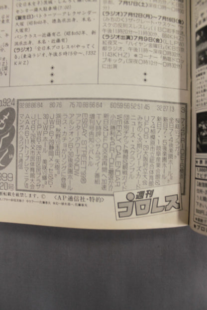 Weekly Pro Wrestling 924