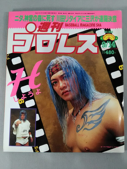 週刊プロレス935