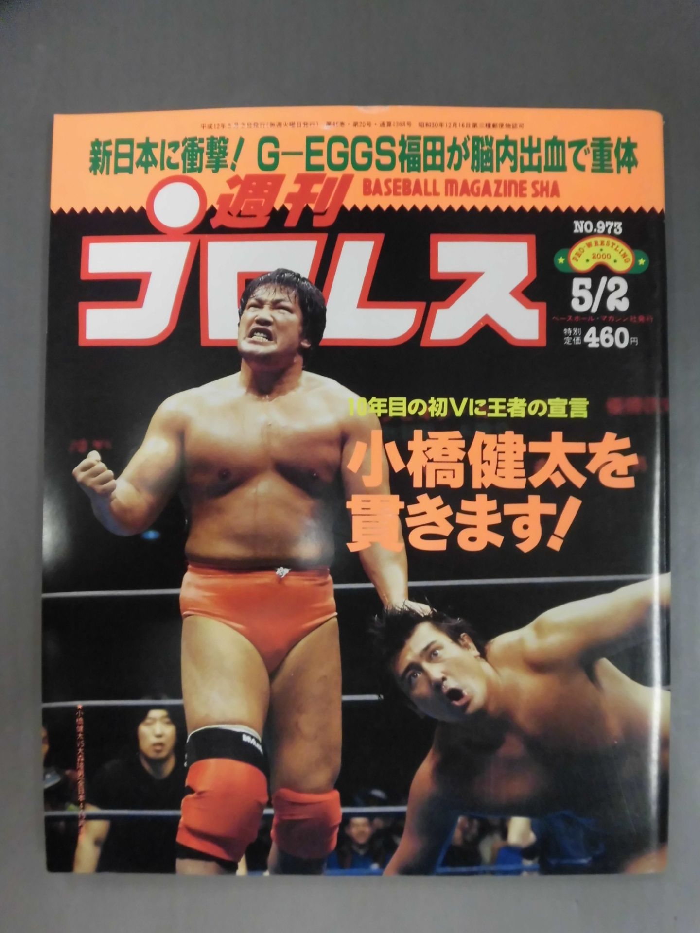 Weekly Pro Wrestling 973